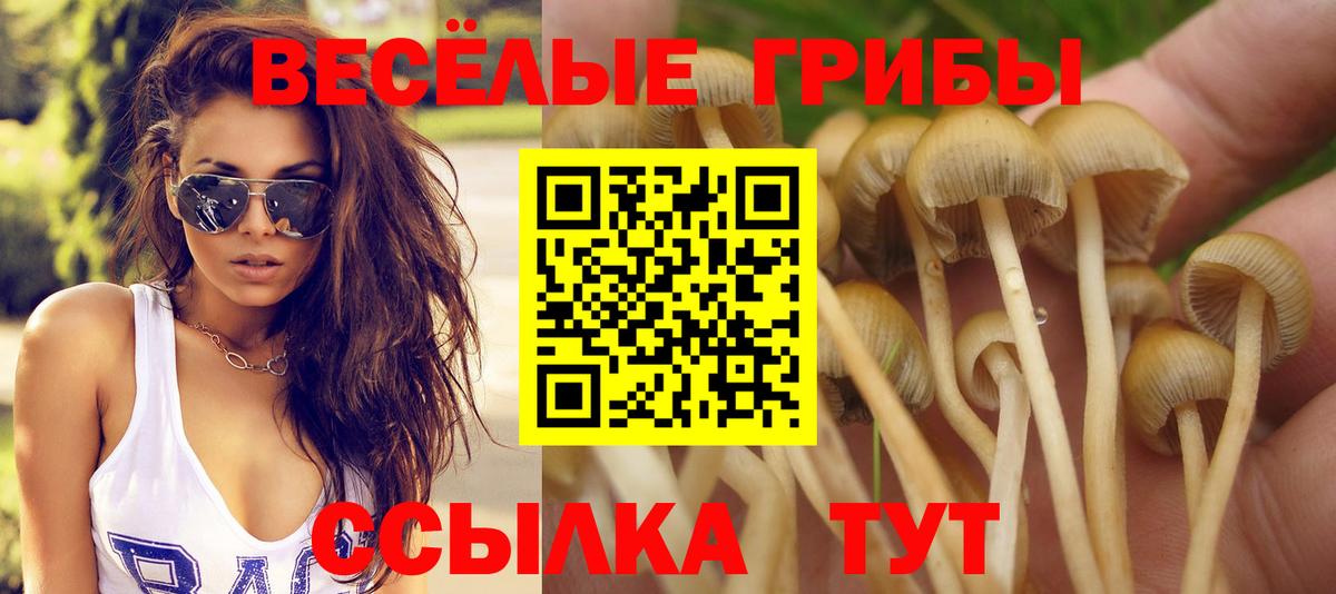 Галлюциногенные грибы MAGIC MUSHROOMS Альметьевск