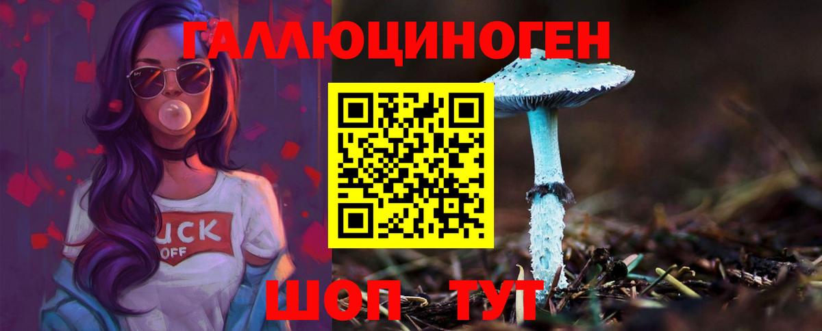 Альметьевск  Псилоцибиновые грибы Psilocybine cubensis  Вход с VPN 