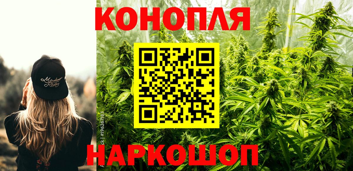 Конопля сатива Альметьевск